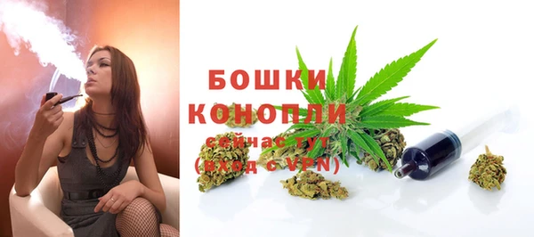 каннабис Белокуриха